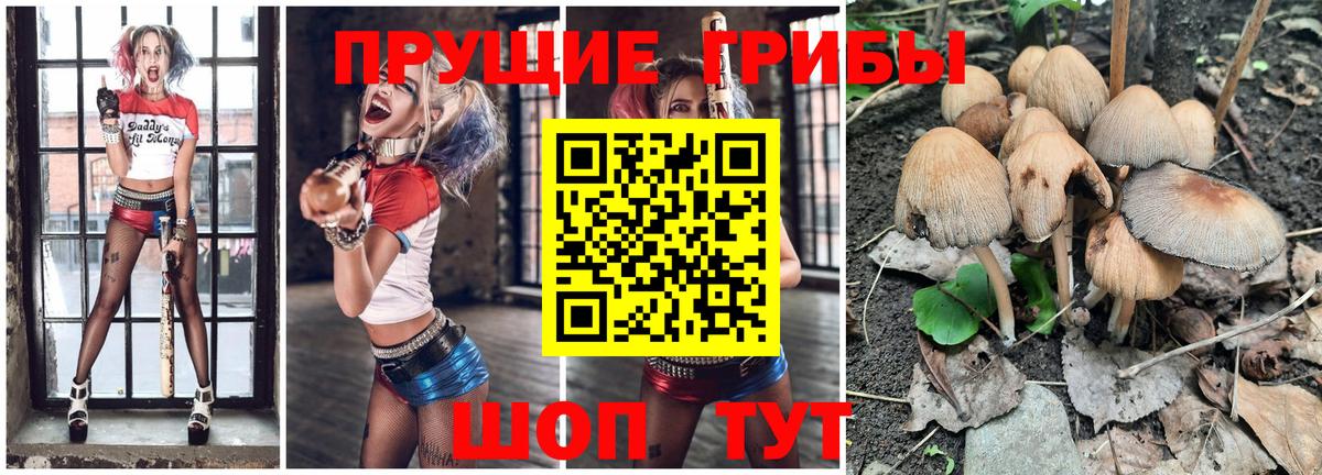 Гагарин  Псилоцибиновые грибы GOLDEN TEACHER  Вход с VPN  Псилоцибиновые грибы прущие грибы 