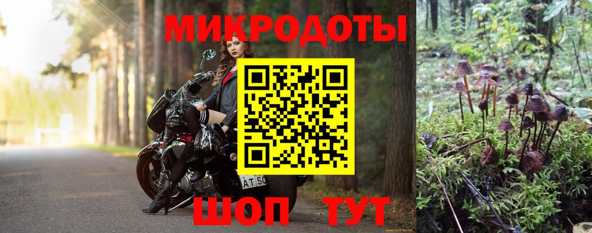 Псилоцибиновые грибы прущие грибы Гагарин